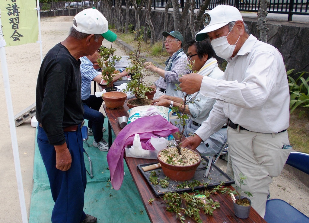 市花つつじ栽培講習会