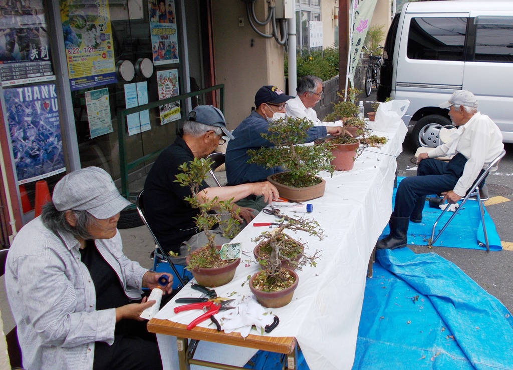 市花つつじ栽培講習会