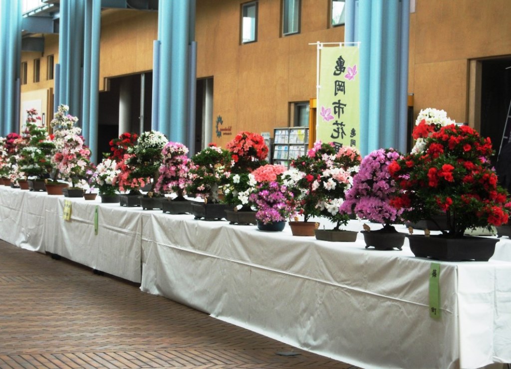 市花展示会