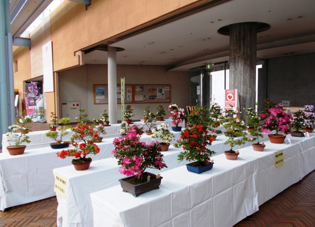 市花展示会