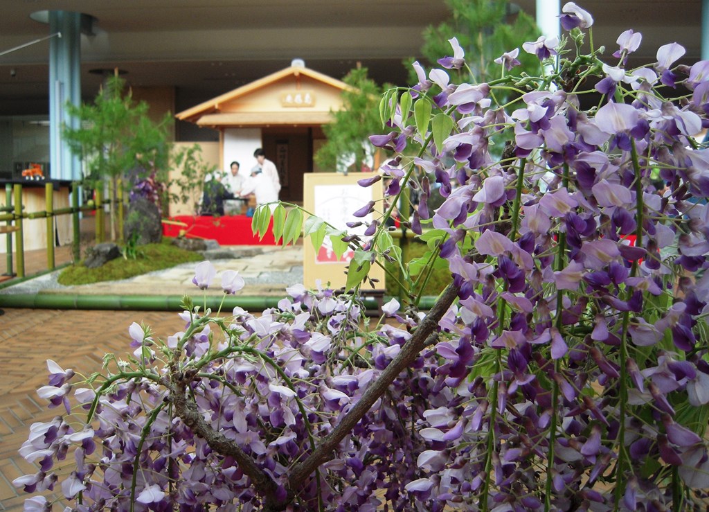 かめおか緑花フェア