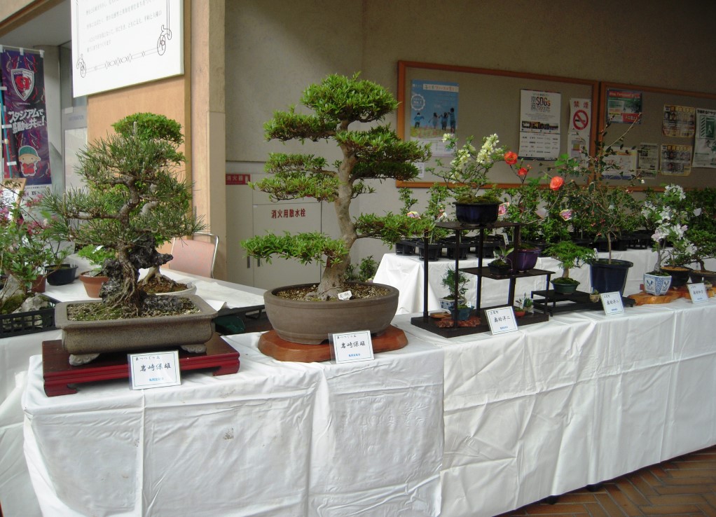 かめおか緑花フェア