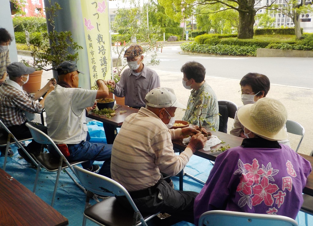 市花つつじ栽培講習会