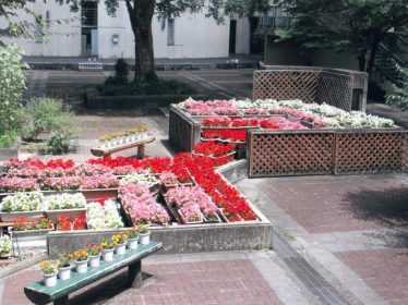 花づくりコンクール
