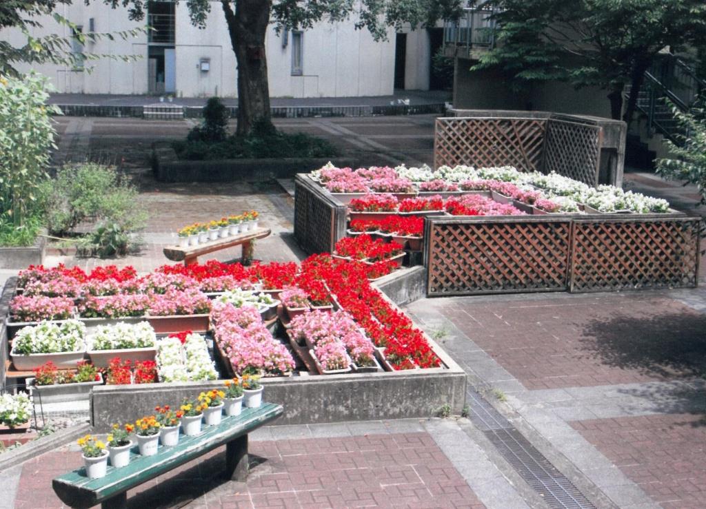 花づくりコンクール